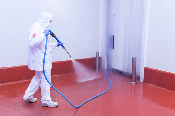  Brown Station, MD Pressure Washing Pros